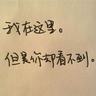 宠物狗知识偶像